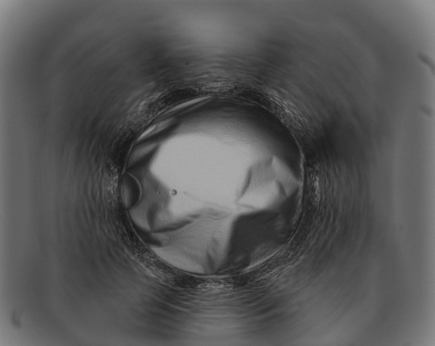 X0000091670745200709131528