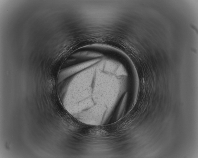 X0000091670747200709131528