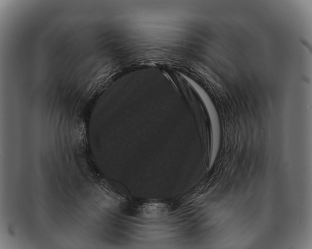 X0000091670748200709131528