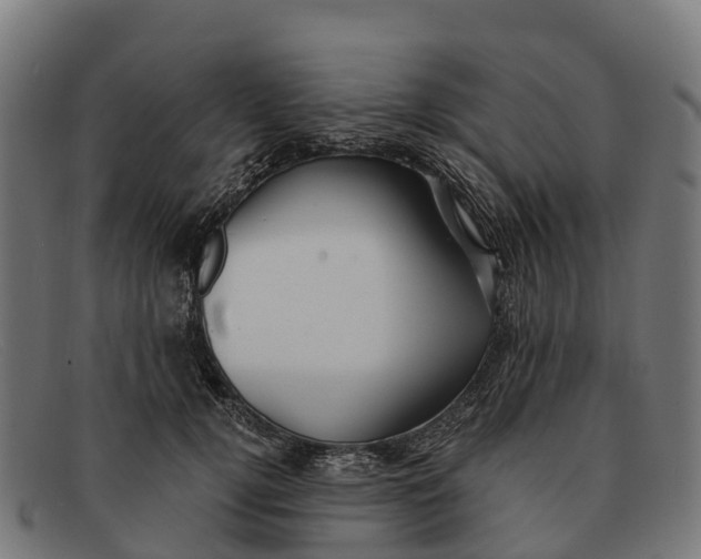 X0000091670752200709131528