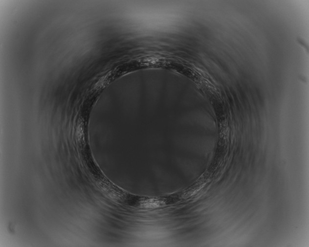 X0000091670754200709131528