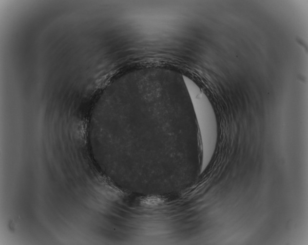 X0000091670759200709131528