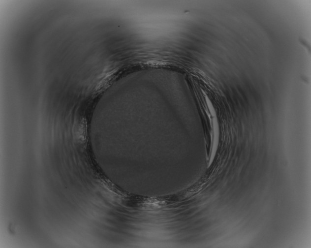 X0000091670760200709131528