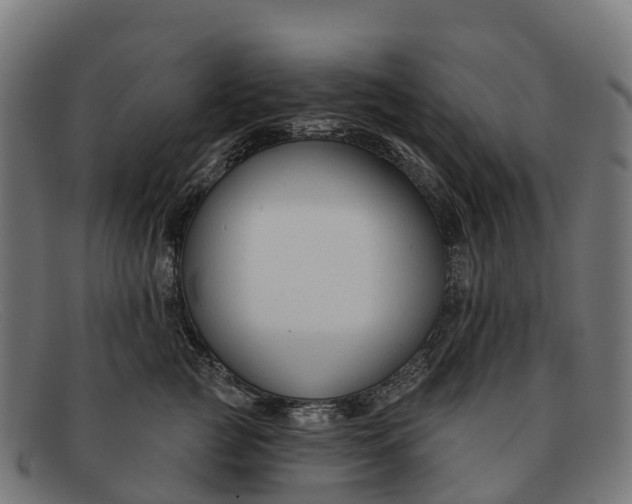 X0000091670761200709131528