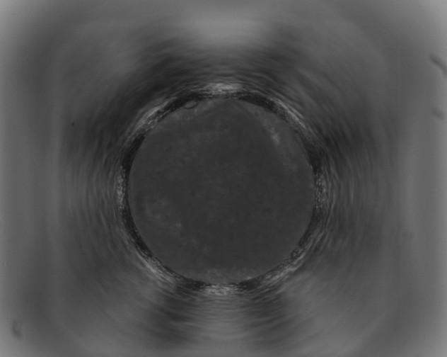 X0000091670762200709131528