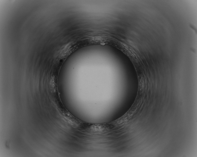 X0000091670764200709131528