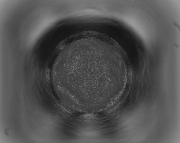 X0000091670765200709131528