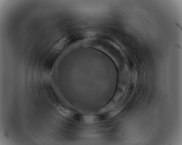 X0000091670766200709131528