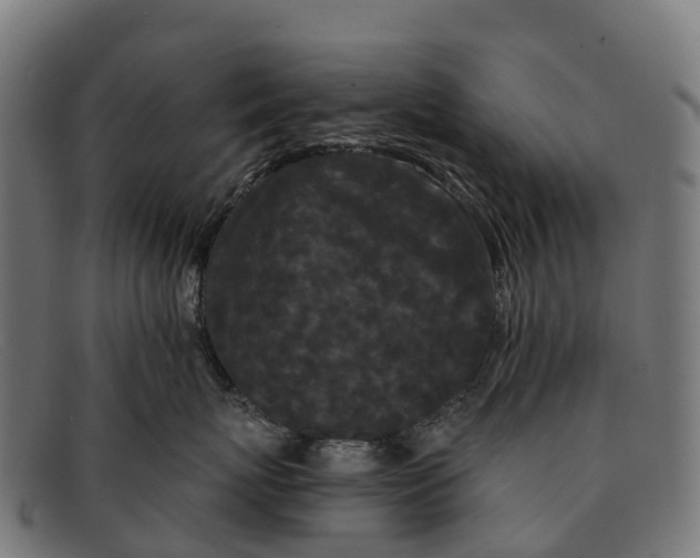 X0000091670767200709131528