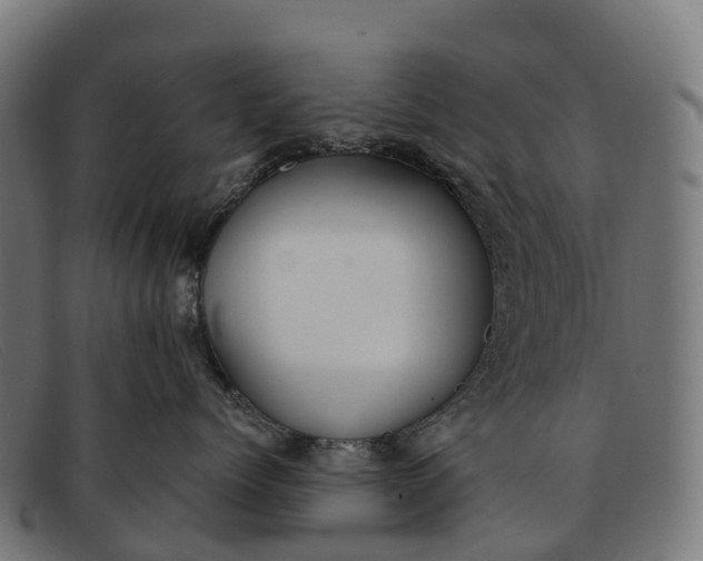 X0000091670768200709131528