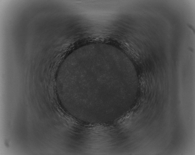 X0000091670769200709131528