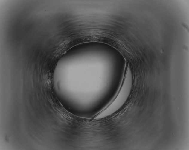 X0000091670771200709131528