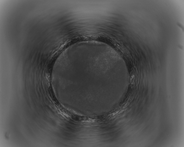 X0000091670772200709131528