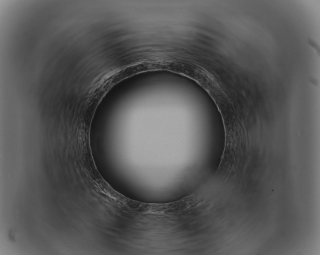 X0000091670773200709131528