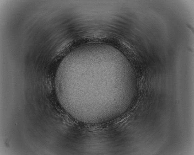 X0000091670774200709131528