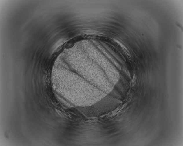 X0000091670775200709131528