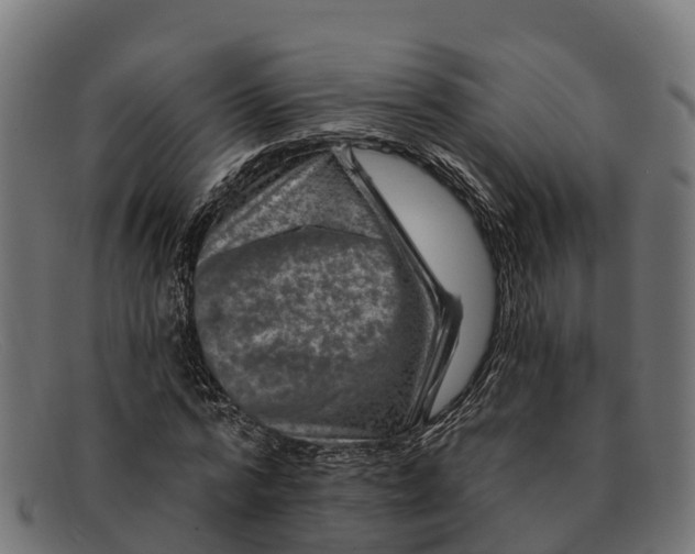 X0000091670776200709131528