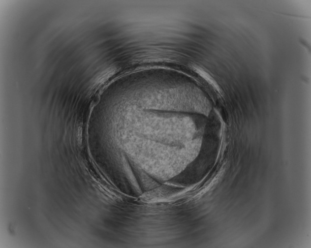 X0000091670777200709131528