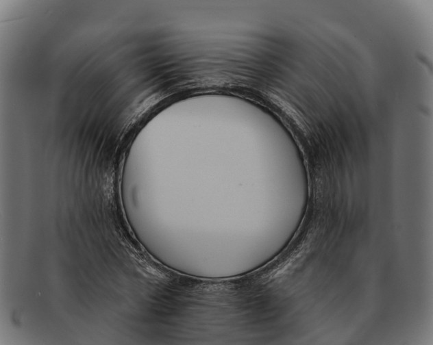 X0000091670778200709131528