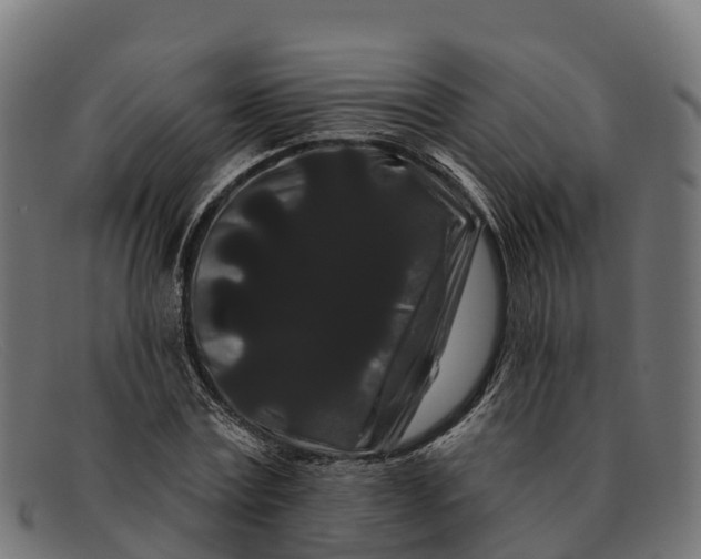 X0000091670779200709131528