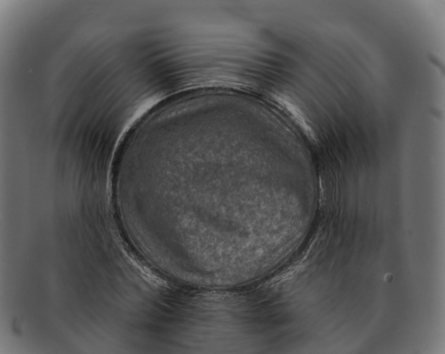 X0000091670780200709131528