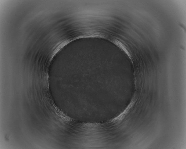 X0000091670781200709131528