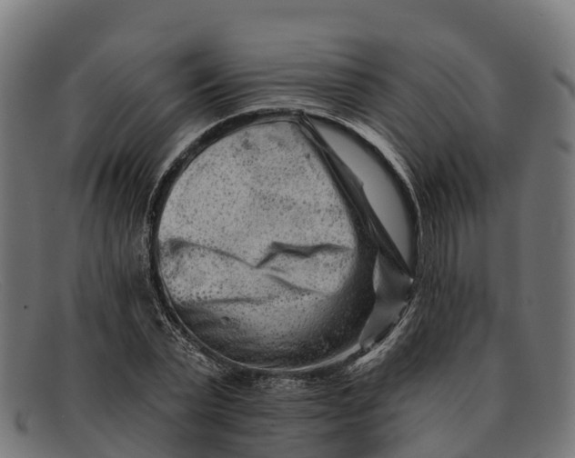 X0000091670783200709131528