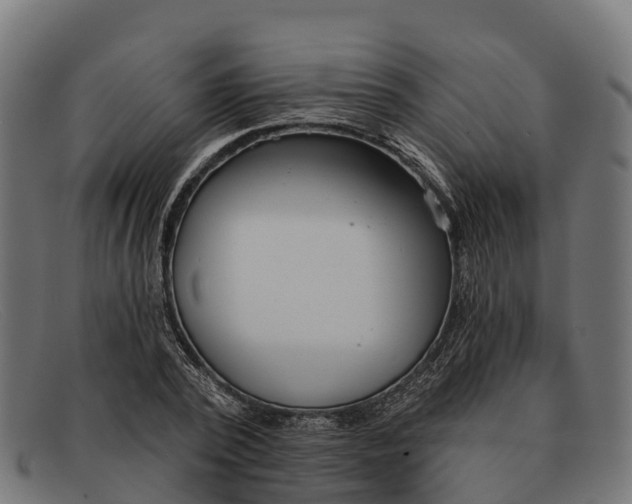 X0000091670784200709131528