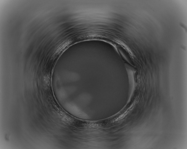 X0000091670785200709131528