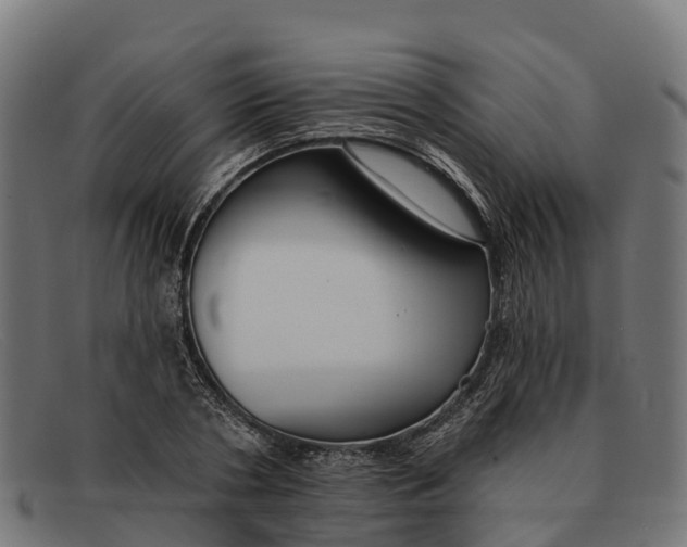 X0000091670786200709131528