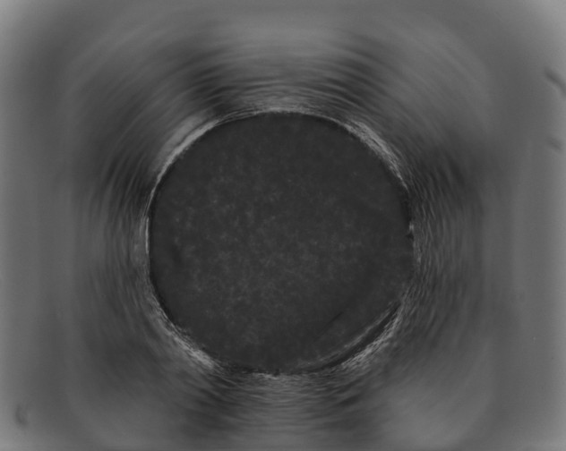 X0000091670790200709131528