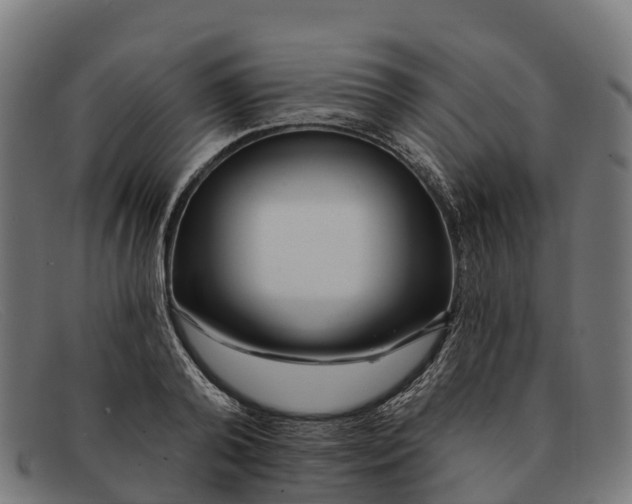 X0000091670792200709131527