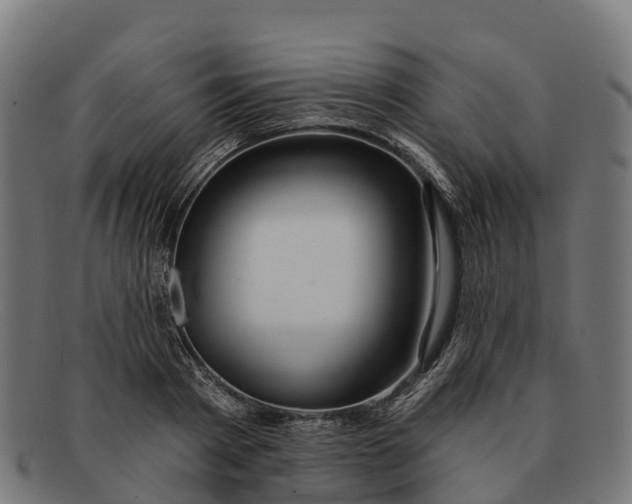 X0000091670793200709131527