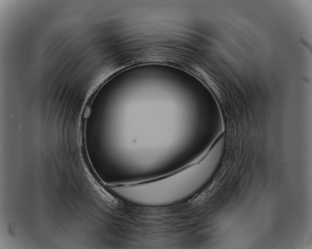 X0000091670795200709131527