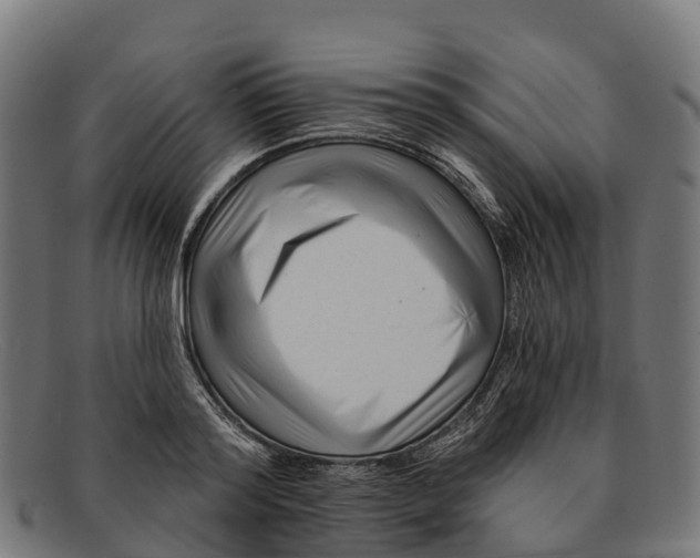 X0000091670796200709131527