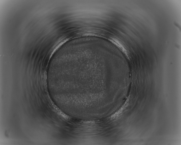 X0000091670798200709131527