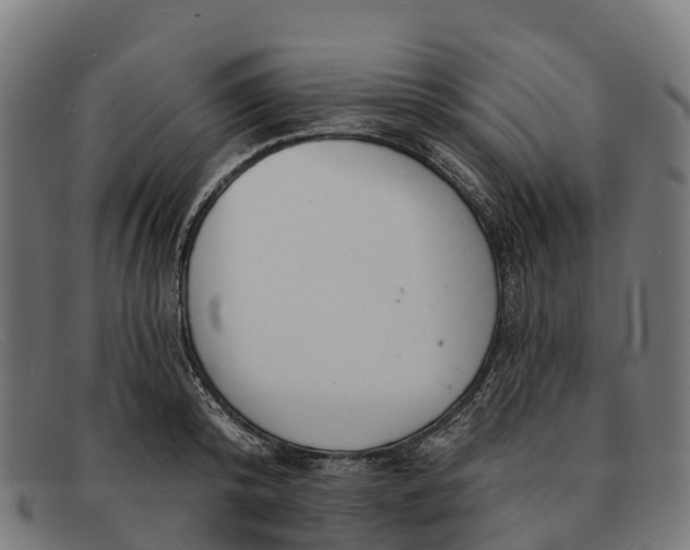 X0000091670800200709131527