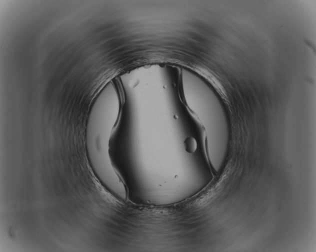 X0000091670801200709131527