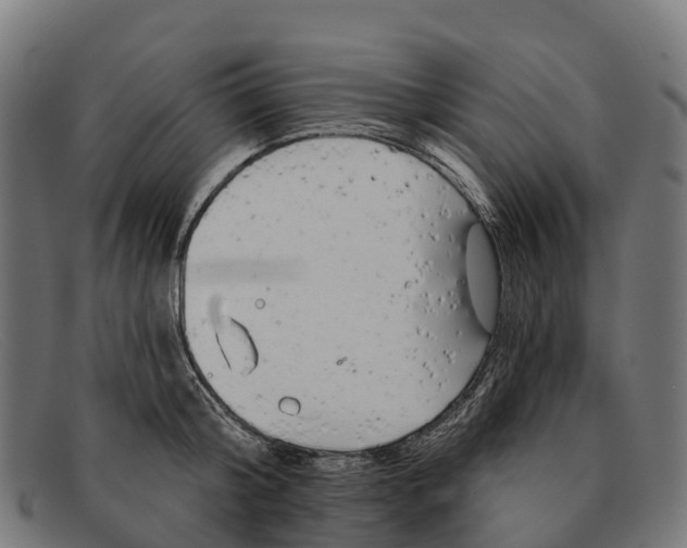 X0000091670804200709131527