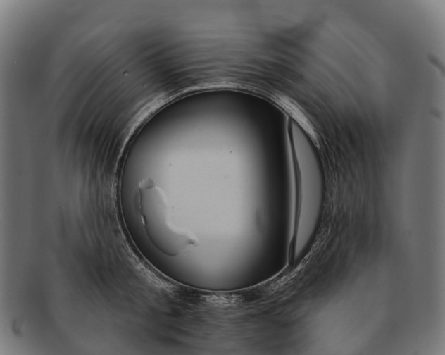 X0000091670805200709131527