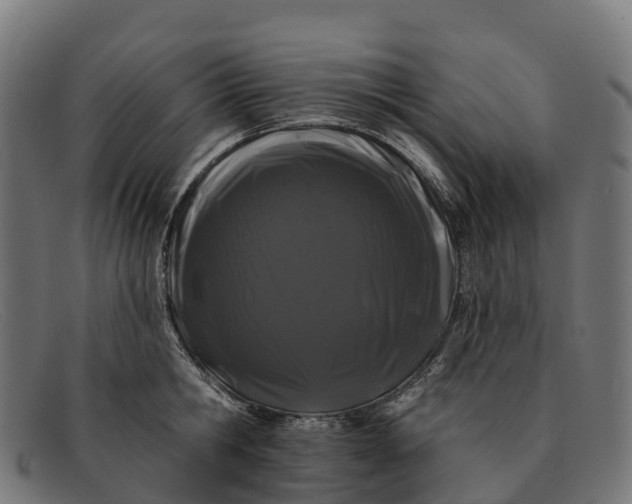 X0000091670806200709131527