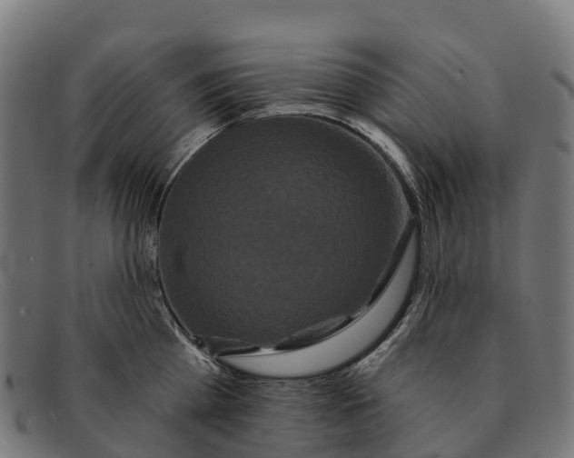 X0000091670809200709131527