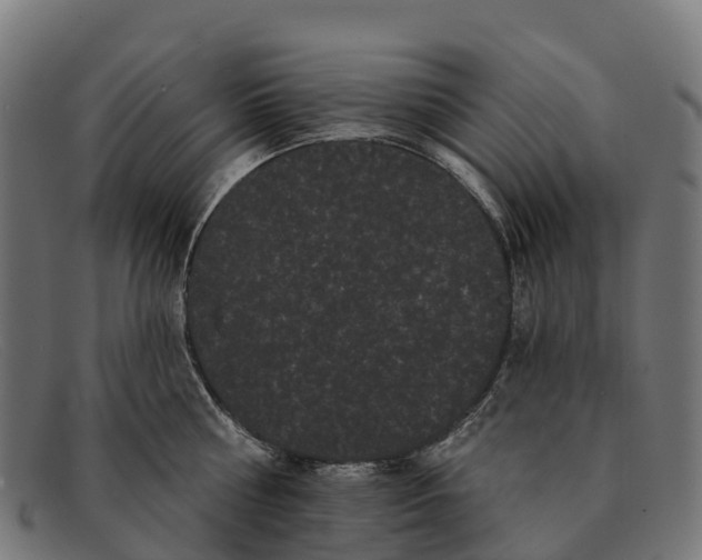 X0000091670810200709131527