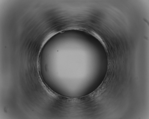 X0000091670811200709131527