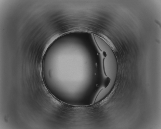 X0000091670812200709131527