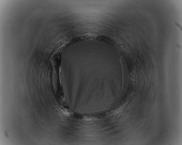 X0000091670818200709131527