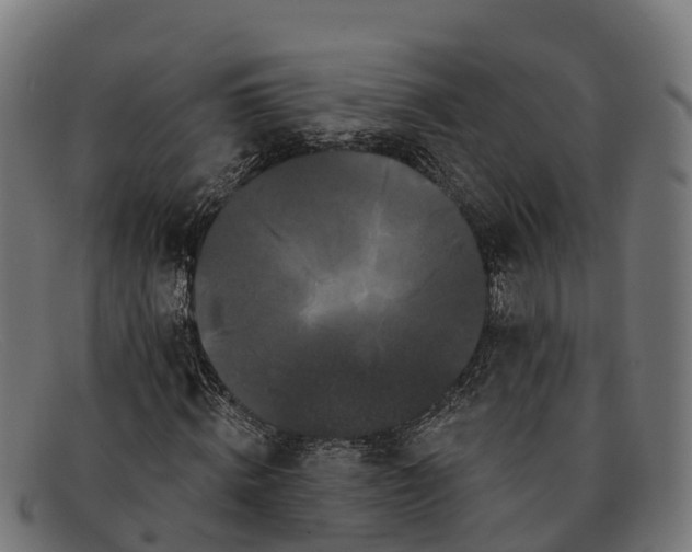 X0000091670820200709131527