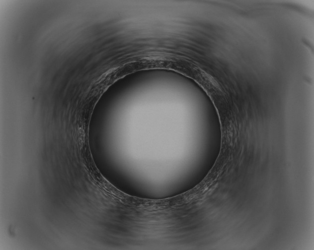 X0000091670821200709131527