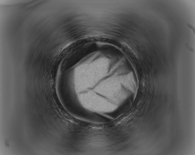 X0000091670822200709131527