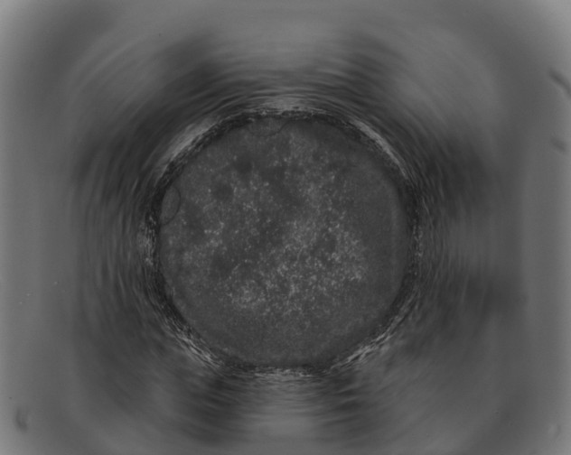 X0000091670823200709131527